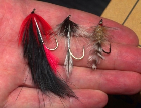 A meaty mouthful A meaty mouthful