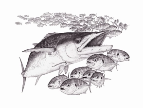 Mrs. Clara Belle Mrs. Clara Belle