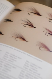 Salome flies Salome flies