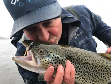 Olive Ghost and Einarsson Olive Ghost and Einarsson