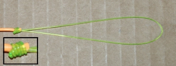 Gray's loop Gray's loop