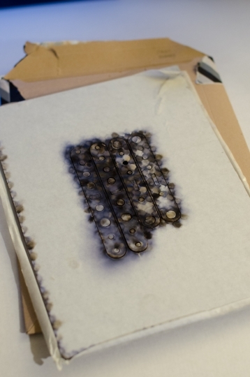 First batch First batch