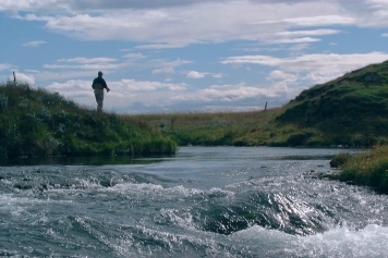 On the stream On the stream