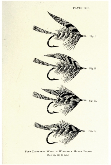 Wing styles Wing styles