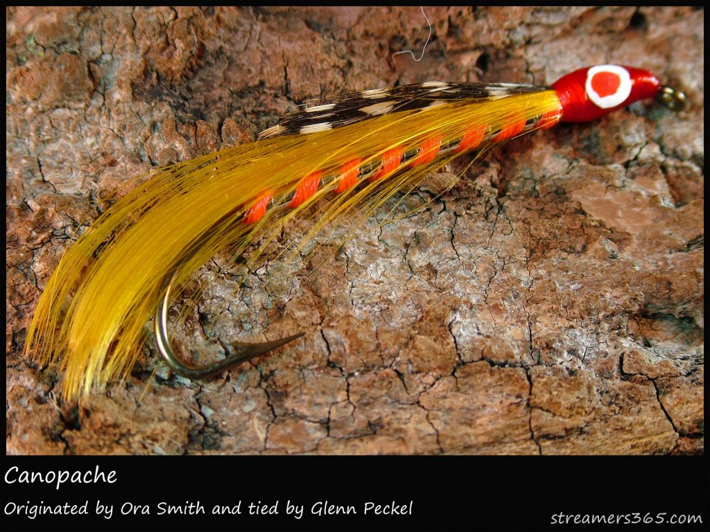 #104 Canopache - Glenn Peckel