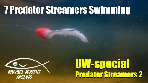 Video thumb for Streamer flies - real underwater footage