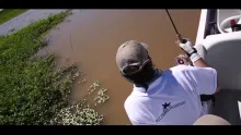 Video thumb for Golden Dorado Fly Fishing at Parana River, Argentina