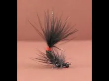 Video thumb for Head Stand Evening Star