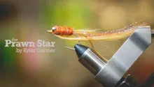 Video thumb for Prawn Star Fly