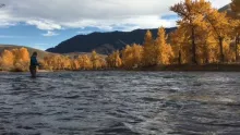 Video thumb for Ladies Steelhead Trip