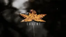 Video thumb for Cadent