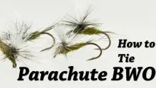 Video thumb for Parachute BWO