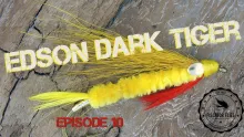 Video thumb for Edson Dark Tiger
