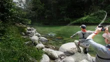Video thumb for Fly Fishing at its best!