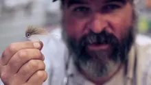 Video thumb for Capt. Joe Benton's EP Baitfish
