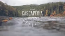 Video thumb for Fall fishing on the Cascapedia river!