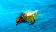 Video thumb for Emerger Caddis Pupa
