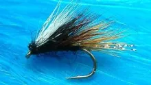Video thumb for The Loch Ordie Sedge Hog