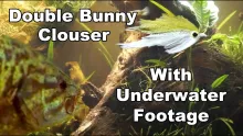 Video thumb for Double Bunny Clouser Minnow
