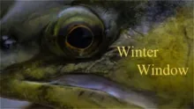 Video thumb for Winter Window