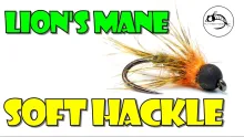 Video thumb for Lion's Mane Soft Hackle