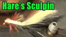 Video thumb for Hare's Sculpin