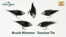 Video thumb for Brush Minnow