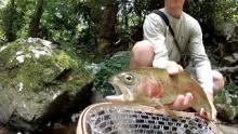 Video thumb for Mountainside - Fly Fishing Cherokee North Carolina