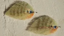 Video thumb for Enrico Puglisi Bluegill/Sunfish