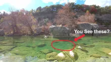 Video thumb for Some nice bass!
