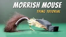 Video thumb for Morrish Mouse