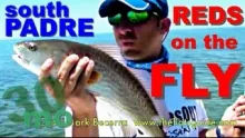 Video thumb for Salwater fly fishing for redfish