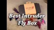 Video thumb for Plan D Pack Max Articulated Plus Fly Box | Best fly box for Intruders and Articulated Streamer Flies