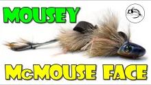 Video thumb for Mousey McMouse Face