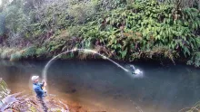 Video thumb for Fishing and Camping Deep in Remote Forest