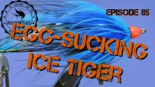 Video thumb for Egg Sucking Ice Tiger
