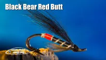 Video thumb for Black Bear Red Butt