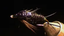 Video thumb for BG Stonefly Nymph