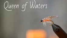 Video thumb for Queen of Waters