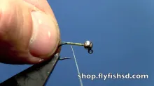Video thumb for Quill Body Soft Hackle Jig Nymph