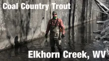 Video thumb for Coal Country Trout, Elkhorn Creek, WV 
