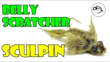 Video thumb for Belly Scratcher Sculpin