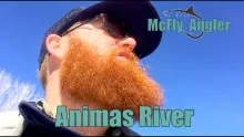 Video thumb for Animas River in Durango, CO