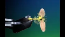 Video thumb for Regan's Mayfly Spinner
