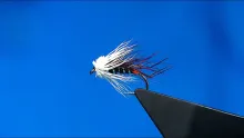 Video thumb for Loch Harray Trout Fly