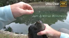 Video thumb for Fishing the San Antonio Riverwalk