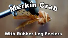 Video thumb for Merkin Crab with legs