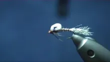 Video thumb for Biot Loop Emerger