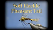 Video thumb for Soft Hackle Pheasant Tail
