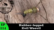 Video thumb for Rubber-Legged Evil Weevil
